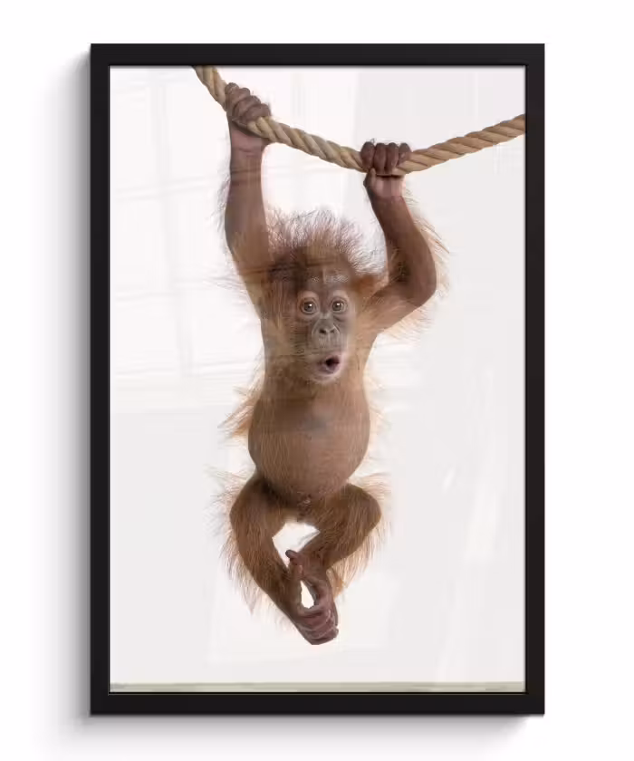 Poster met lijst - Aap - Dieren - Kinderen - Orang Oetan - Jongetjes - Meisjes