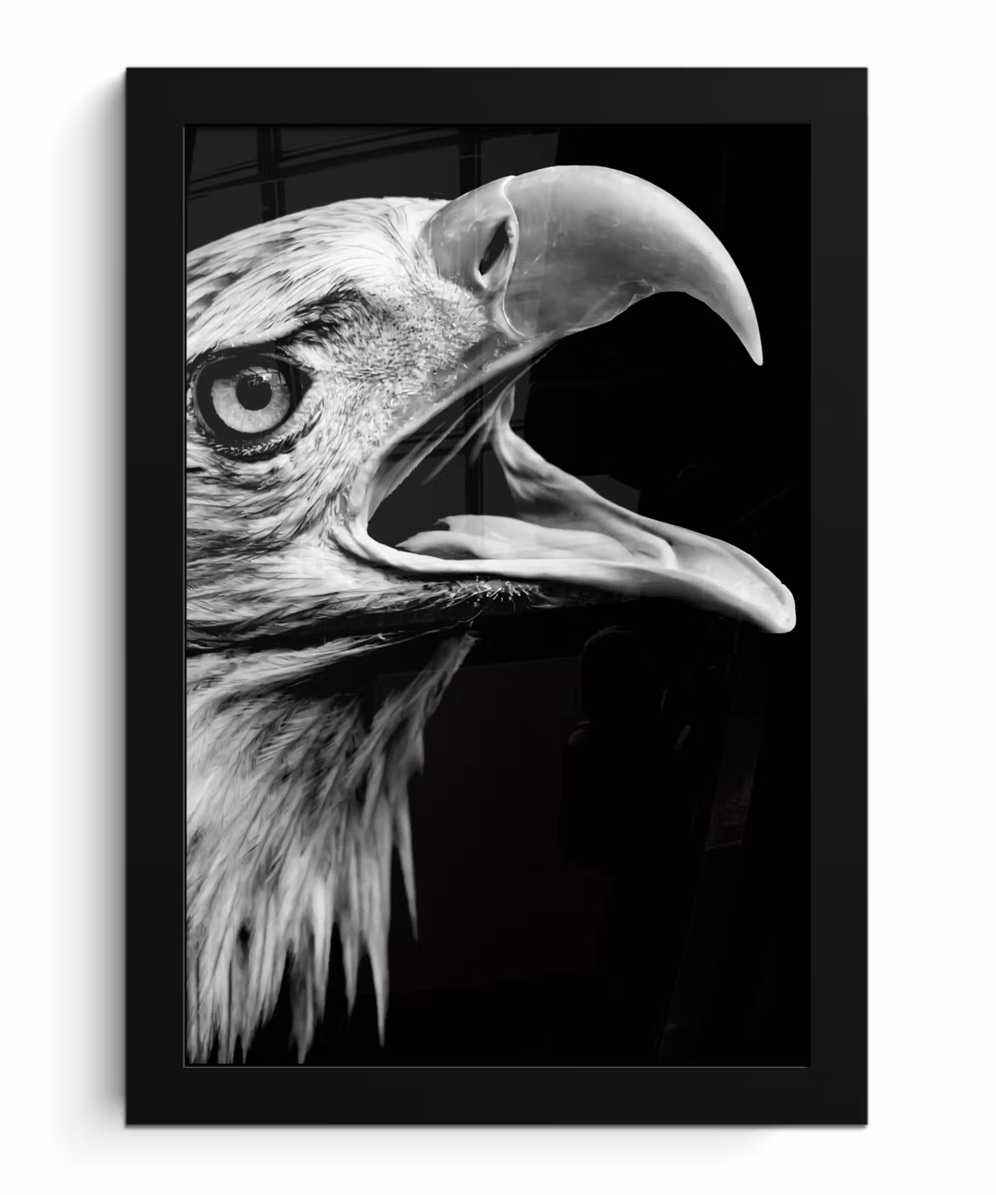 Poster met lijst - Adelaar - Portret - Roofvogels - Zwart - Wit - Vogel