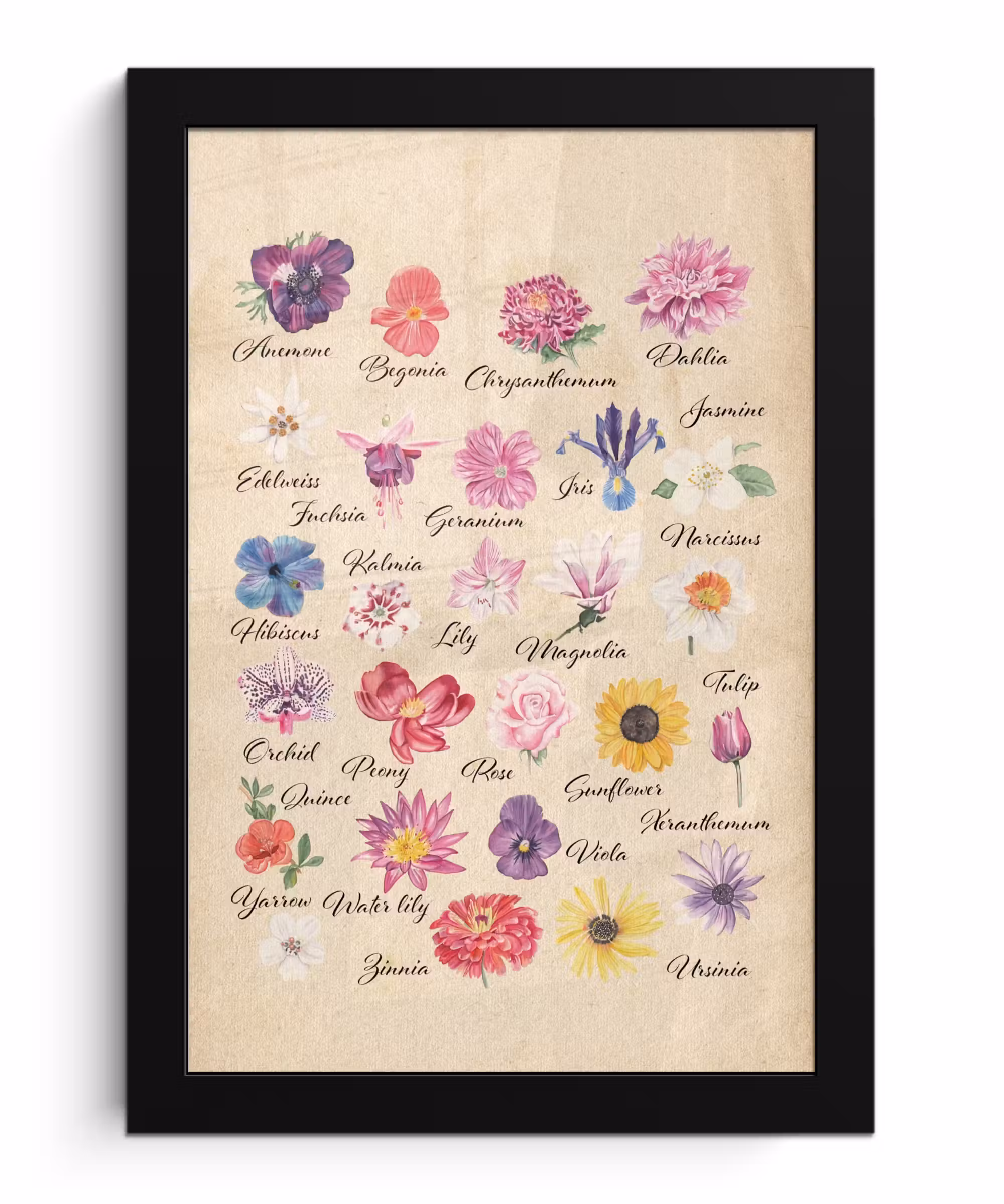 Poster met lijst - Alfabet - Bloemen - Planten - Educatief - Retro - Kind - Kids