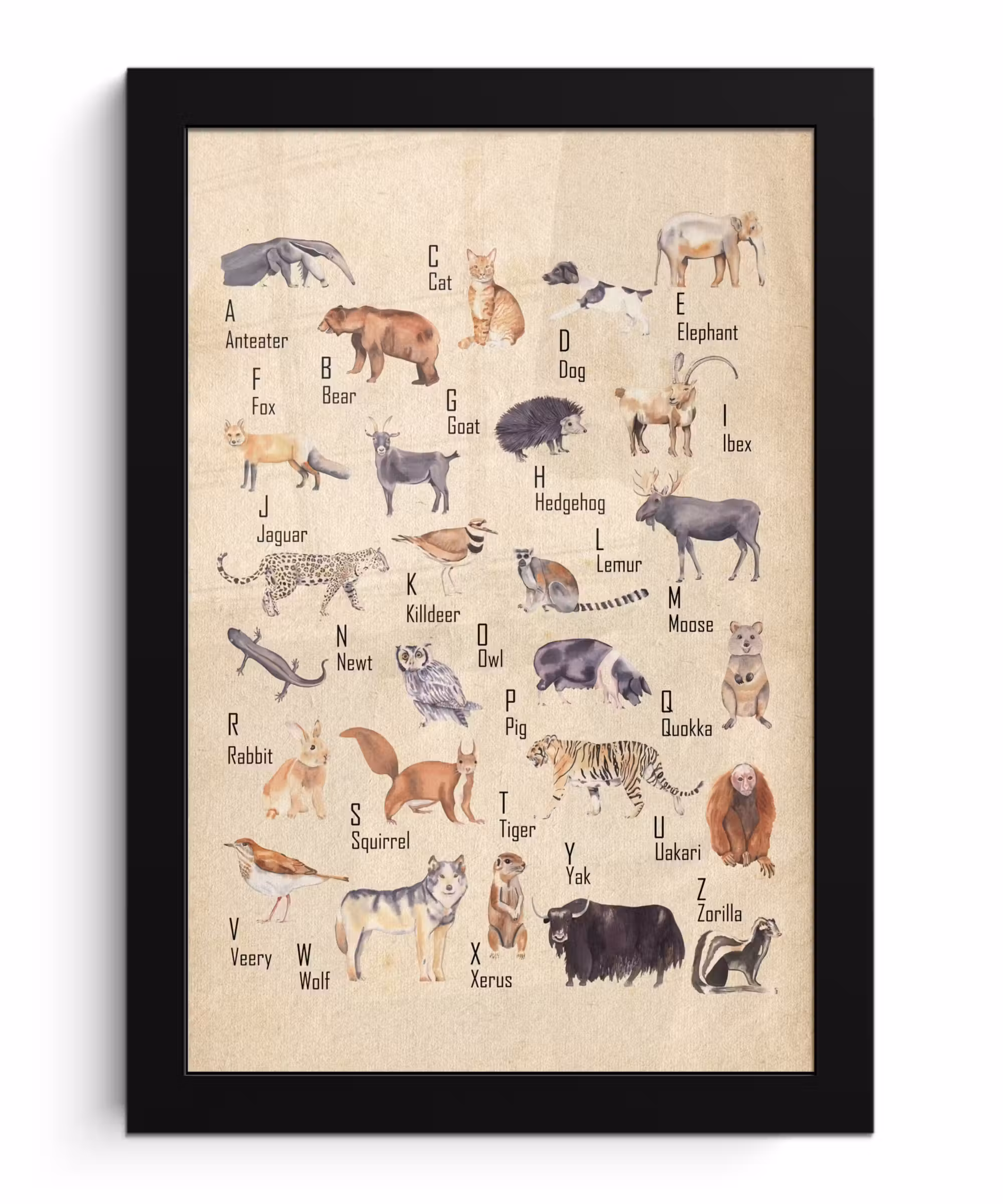 Poster met lijst - Alfabet - Dieren - Hond - Kat - Educatief - Retro - Kind - Kinderen