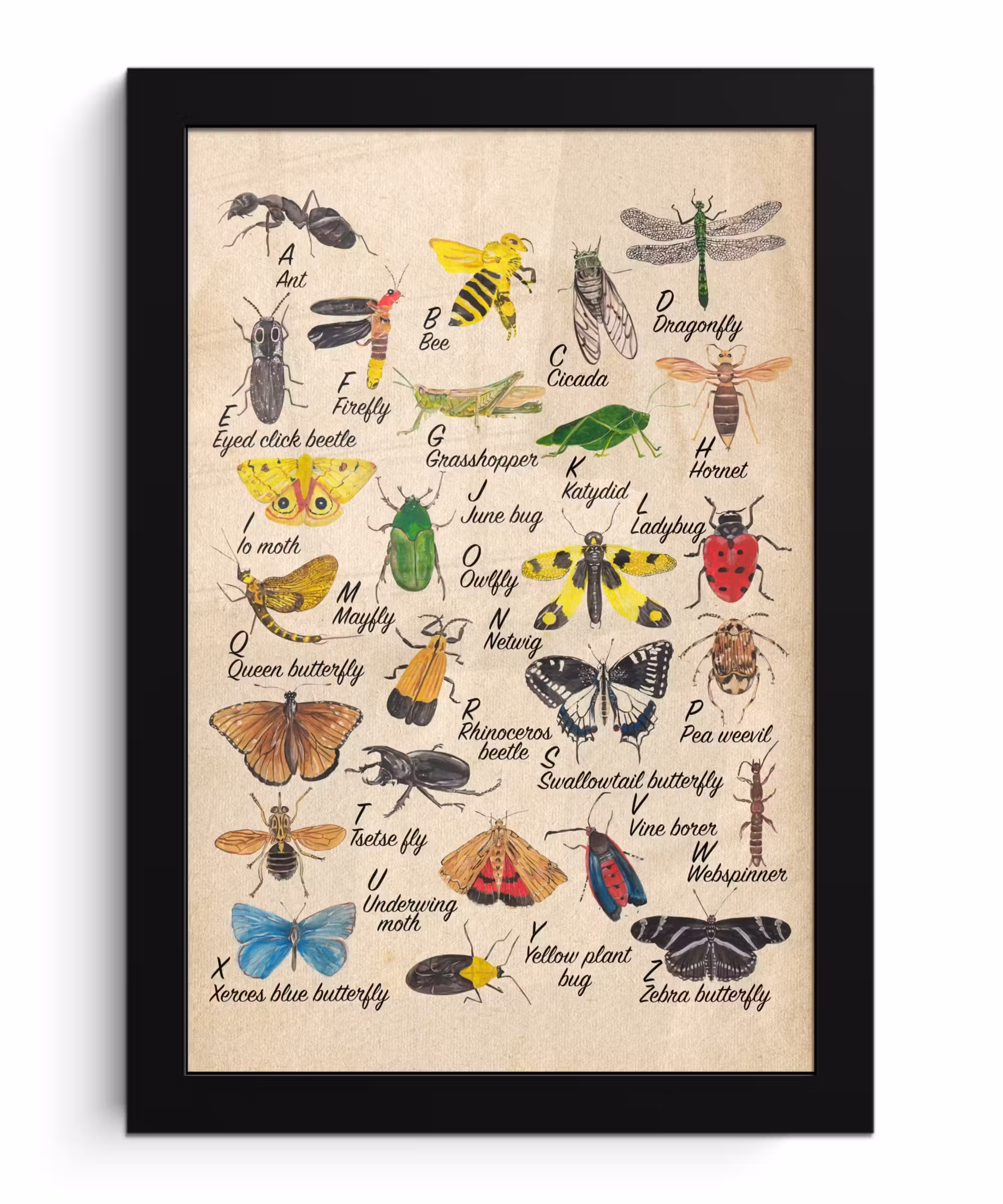 Poster met lijst - Alfabet - Insecten - Educatief - Retro - Bruin - Jongens - Meid - Kinderen