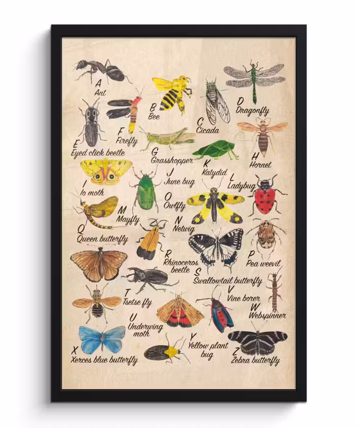 Poster met lijst - Alfabet - Insecten - Educatief - Retro - Bruin - Jongens - Meid - Kinderen