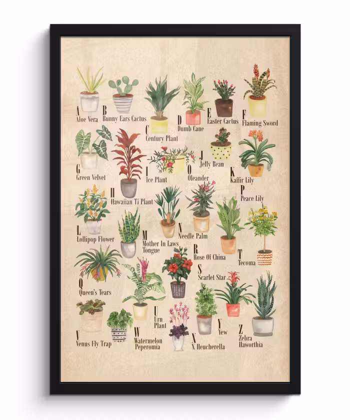 Poster met lijst - Alfabet - Planten - Cactus - Educatief - Bruin - Kinderen - Kids