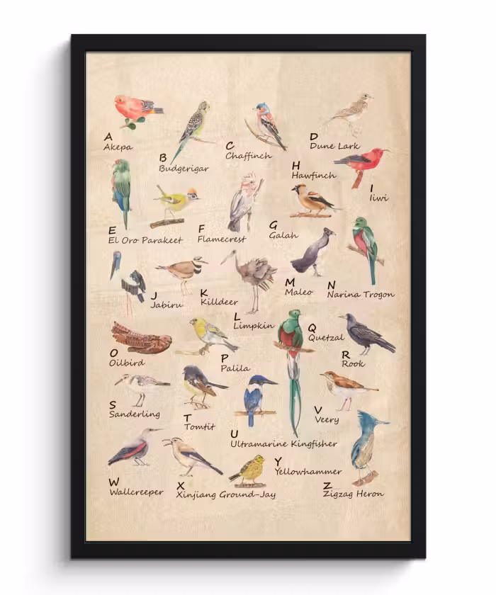 Poster met lijst - Alfabet - Vogel - Educatief - Retro - Letters - Kind - Kinderen