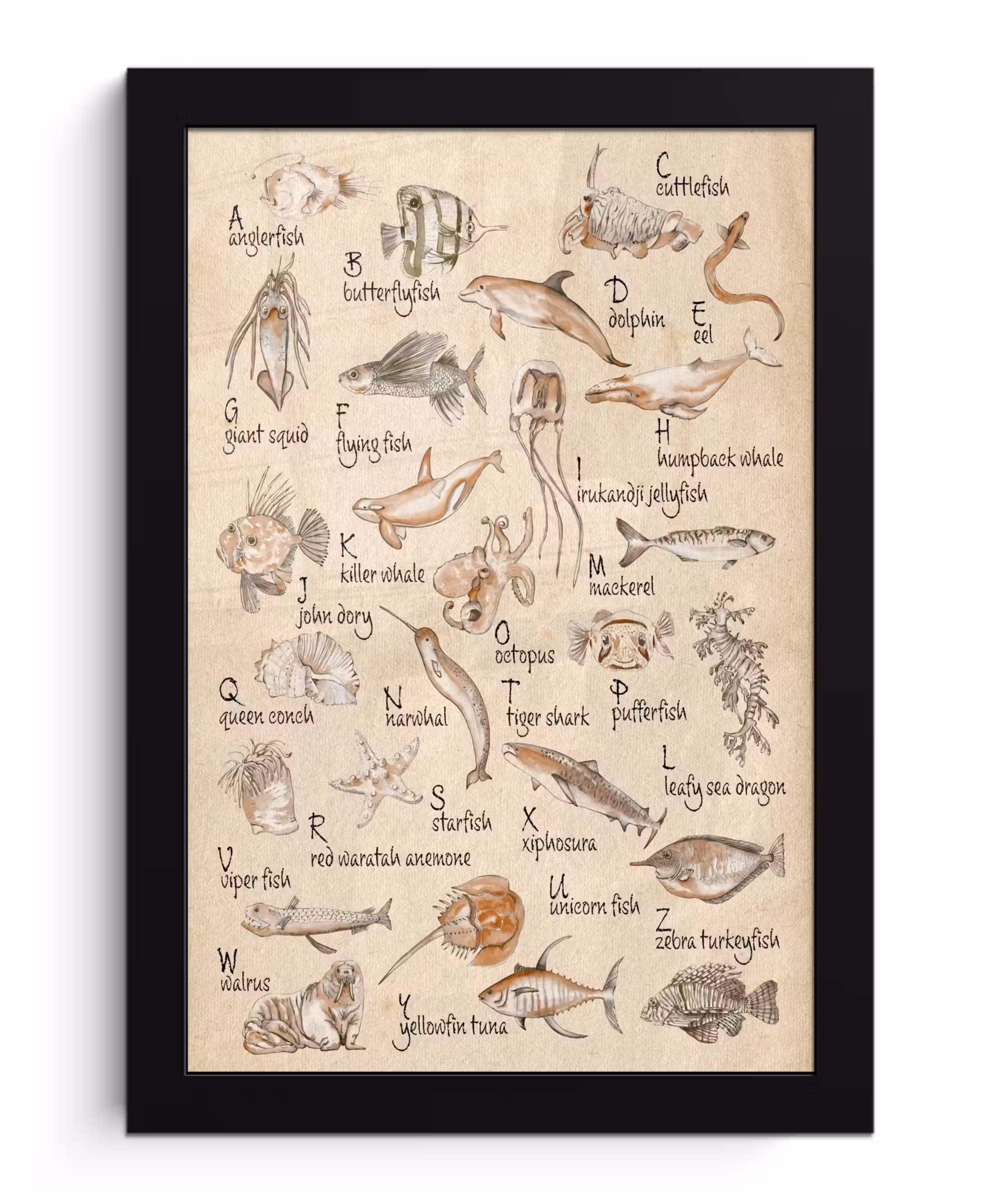 Poster met lijst - Alfabet - Zeedieren - Vissen - Retro - Bruin - Kinderen - Kids