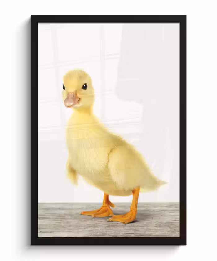 Poster met lijst - Eend - Kuiken - Dieren - Lief - Meisjes - Jongens - Kinderen