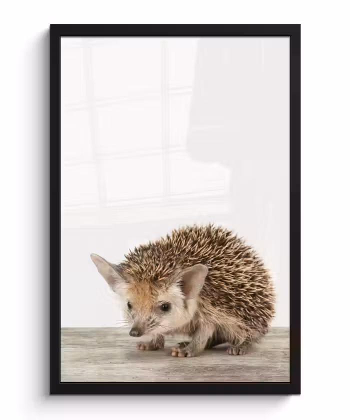 Poster met lijst - Egel - Dieren - Kinderen - Jongens - Meisjes