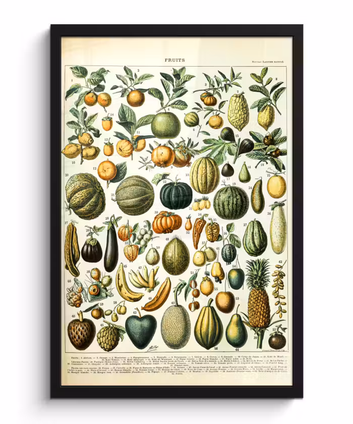 Poster met lijst - Fruit - Eten - Design - Vintage - Adolphe Millot