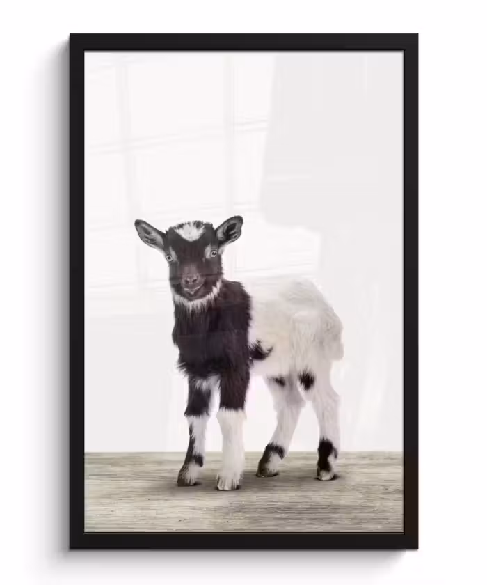 Poster met lijst - Geit - Dieren - Kinderen - Jongens - Meisjes
