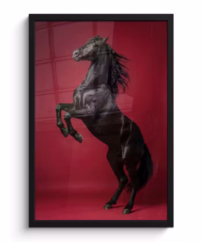 Poster met lijst - Hengst - Steigert - Rood