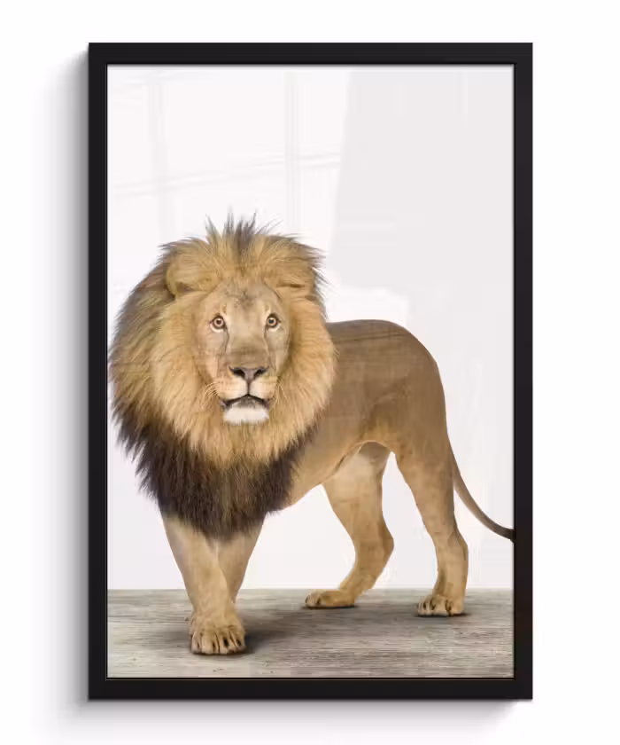 Poster met lijst - Jongens - Leeuw - Dieren - Kinderen - Meisjes