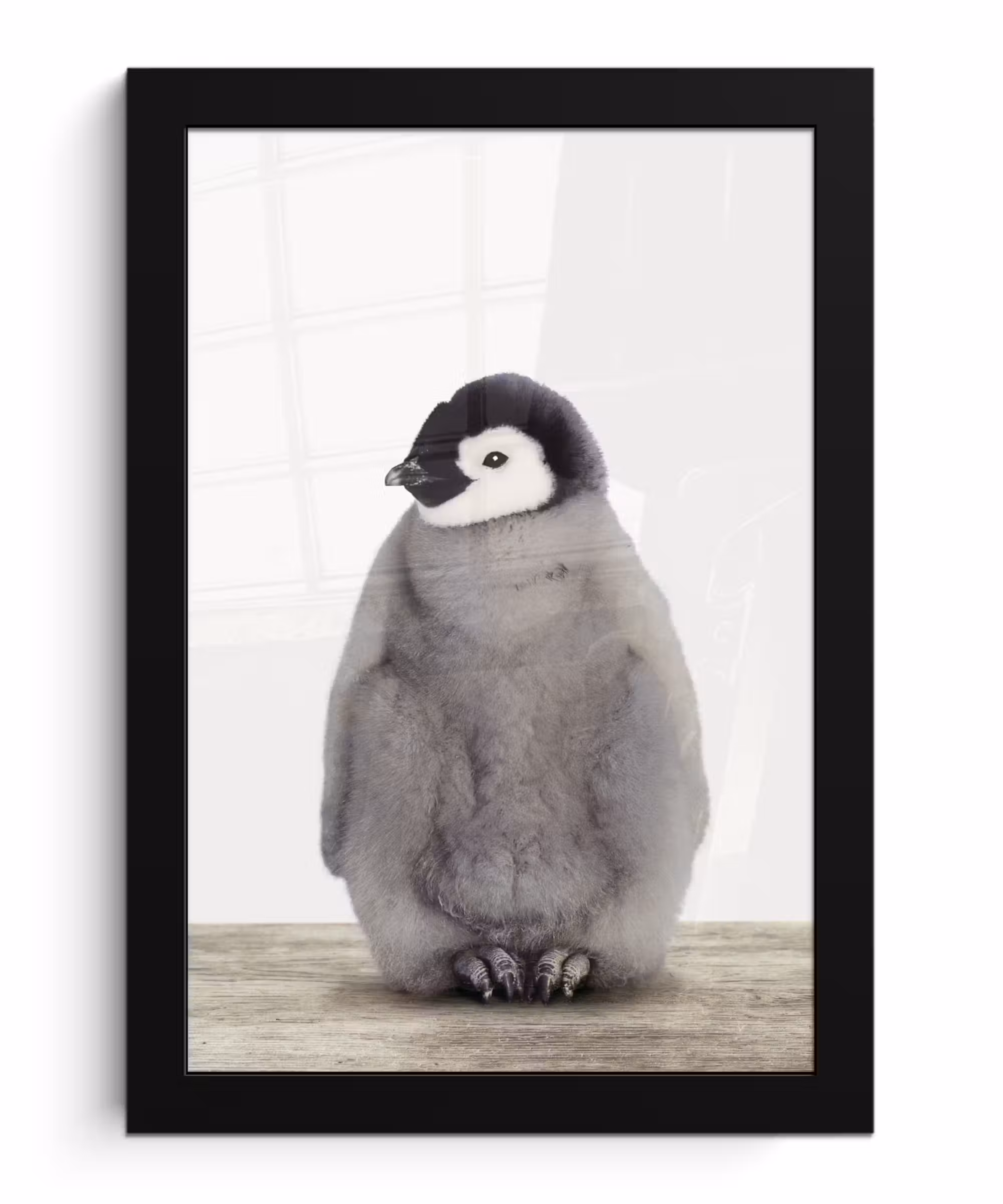 Poster met lijst - Kinderen - Pinguïn - Grijs - Dieren - Meisjes - Jongens
