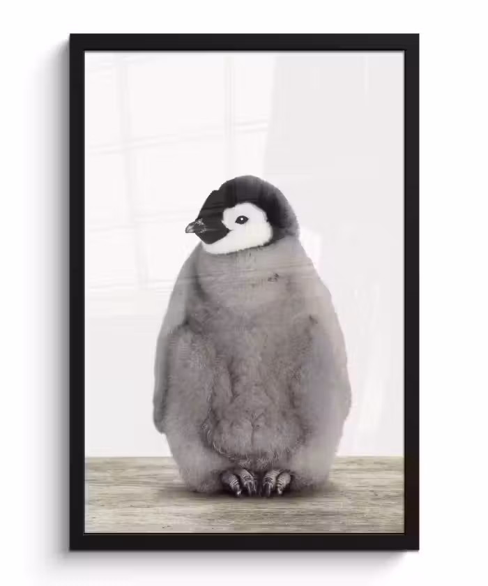 Poster met lijst - Kinderen - Pinguïn - Grijs - Dieren - Meisjes - Jongens