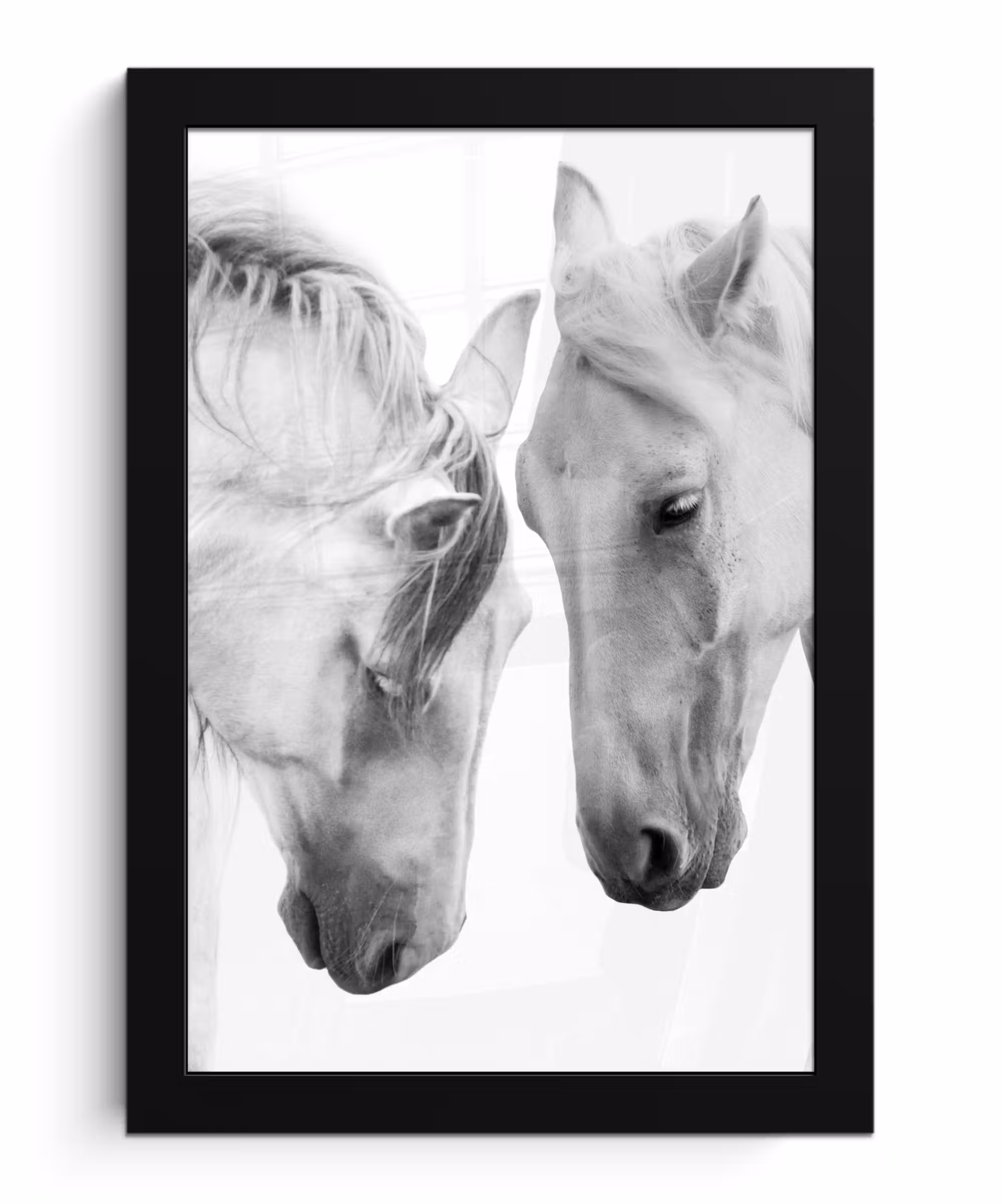 Poster met lijst - Paard - Dieren - Portret - Wit