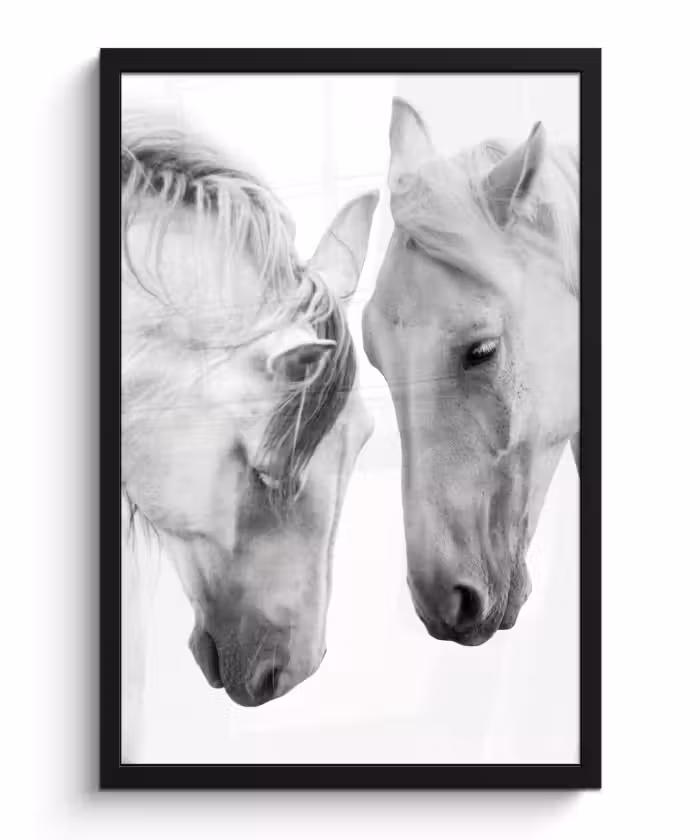 Poster met lijst - Paard - Dieren - Portret - Wit