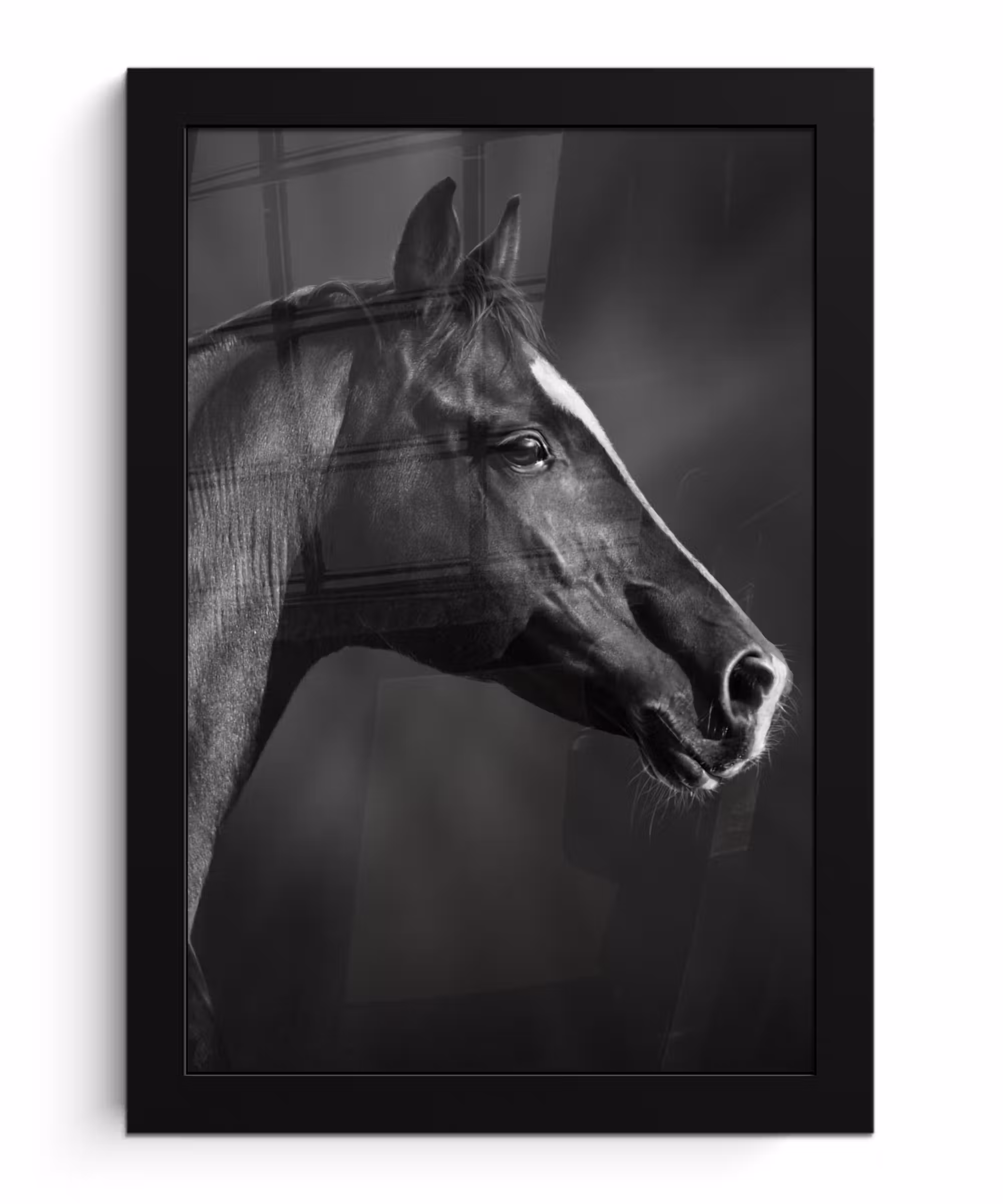 Poster met lijst - Paard - Dieren - Zwart - Wit - Portret