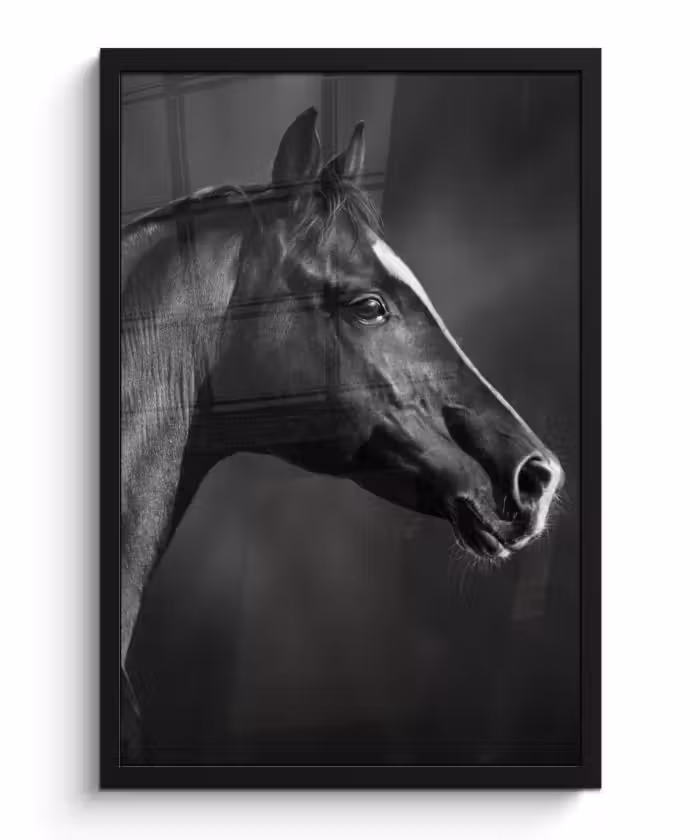 Poster met lijst - Paard - Dieren - Zwart - Wit - Portret