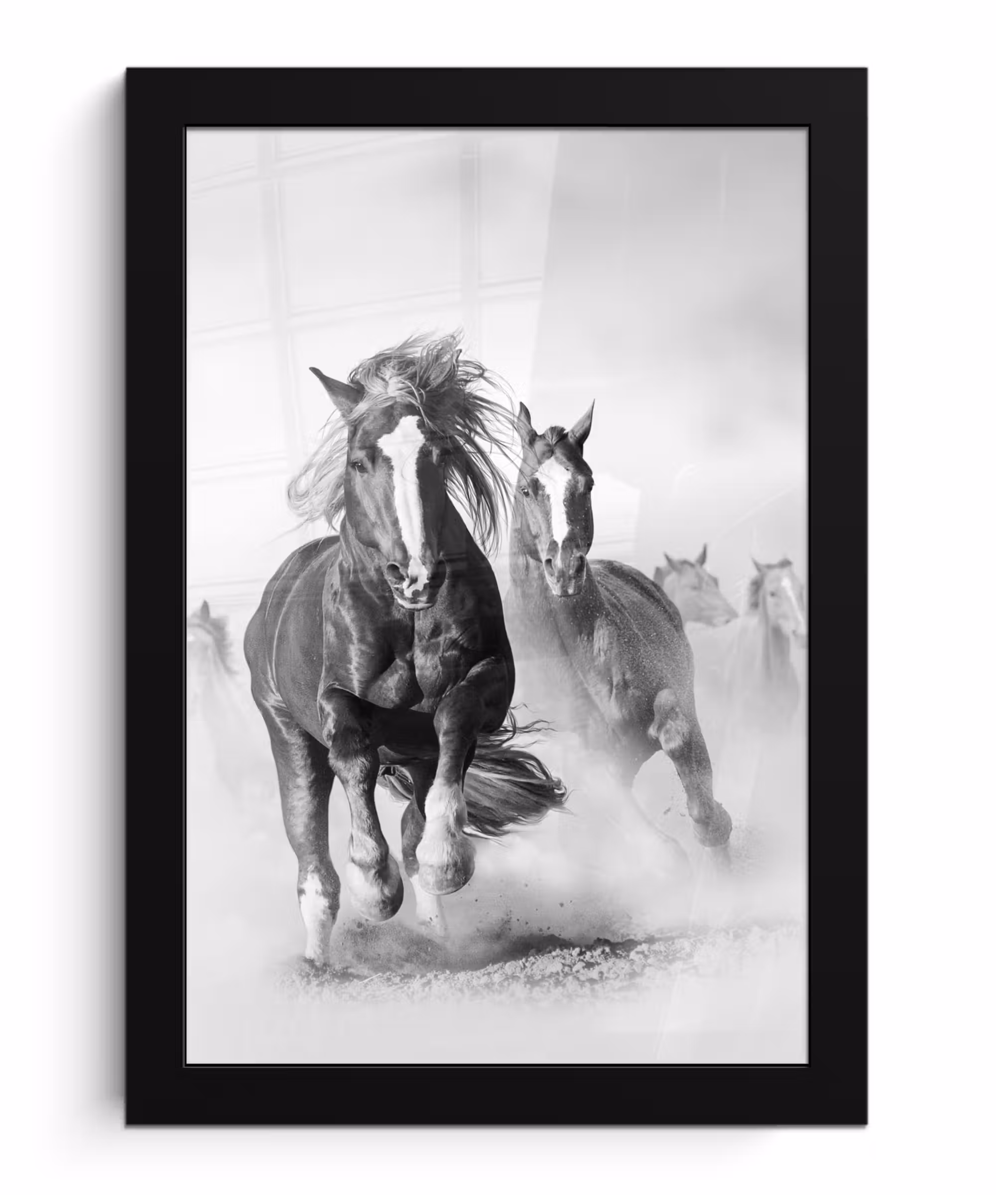Poster met lijst - Paarden - Dieren - Illustratie