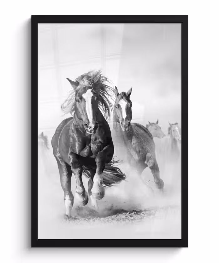 Poster met lijst - Paarden - Dieren - Illustratie