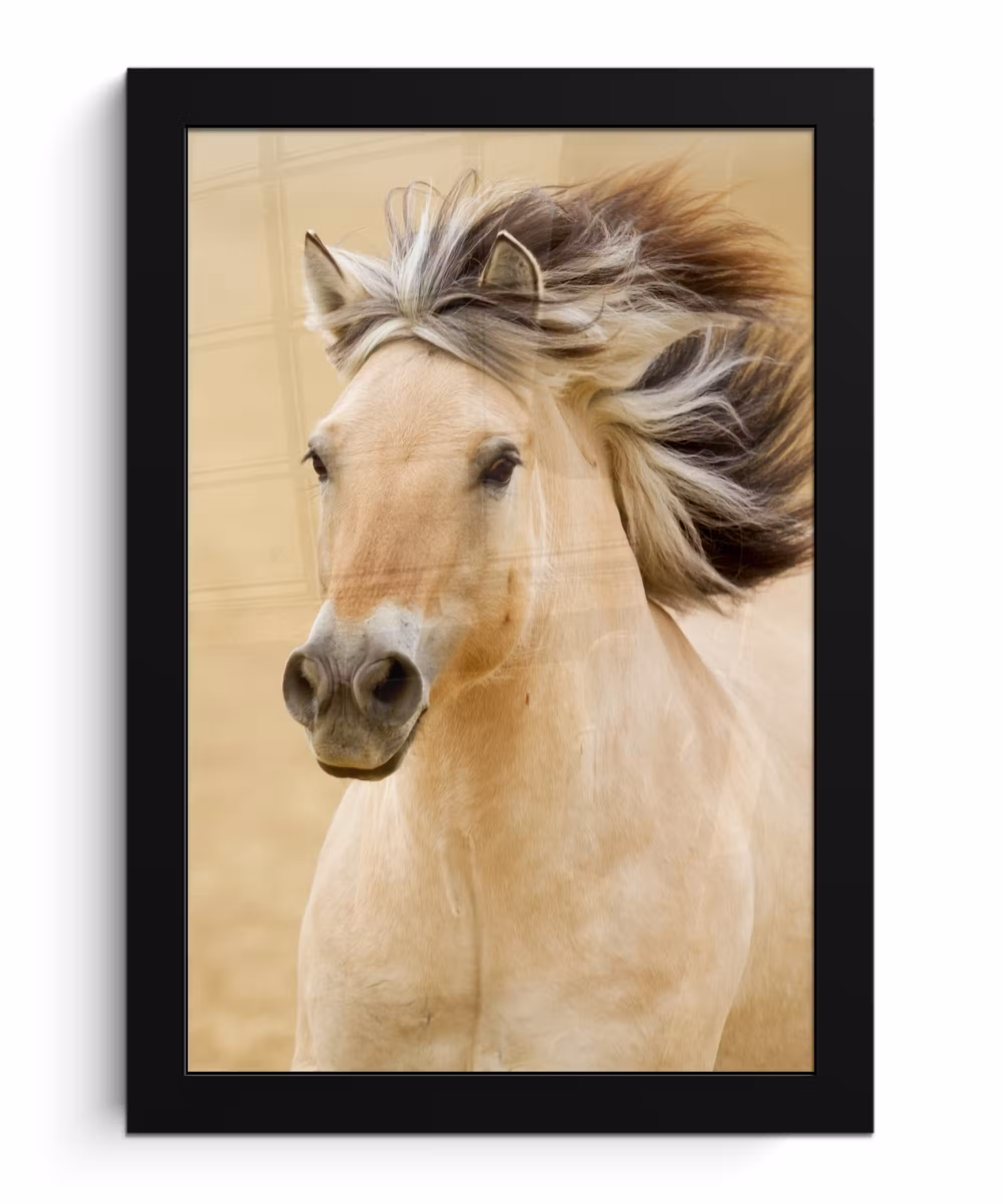 Poster met lijst - Paarden - Dieren - Manen - Portret
