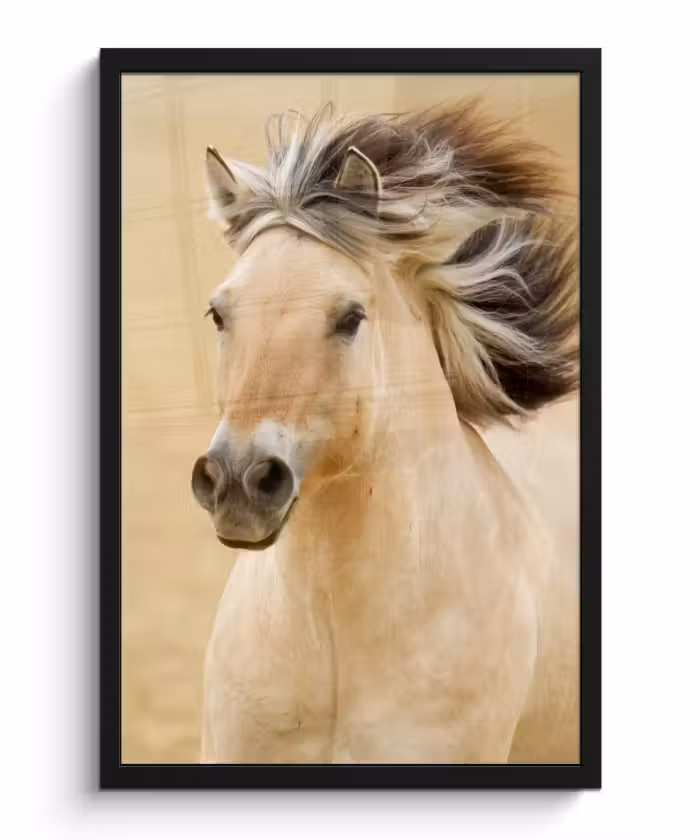 Poster met lijst - Paarden - Dieren - Manen - Portret