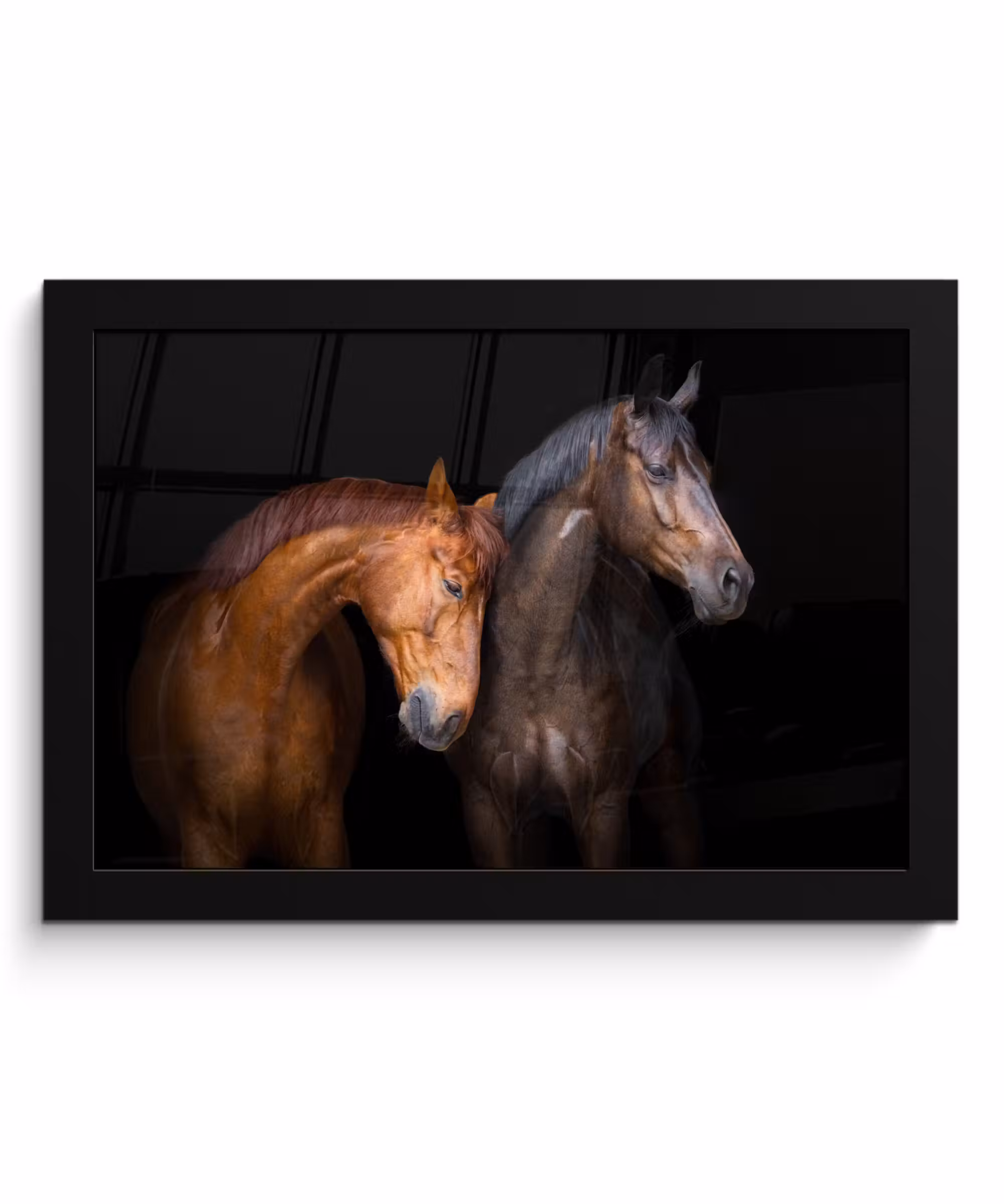 Poster met lijst - Paarden - Dieren - Portret - Bruin