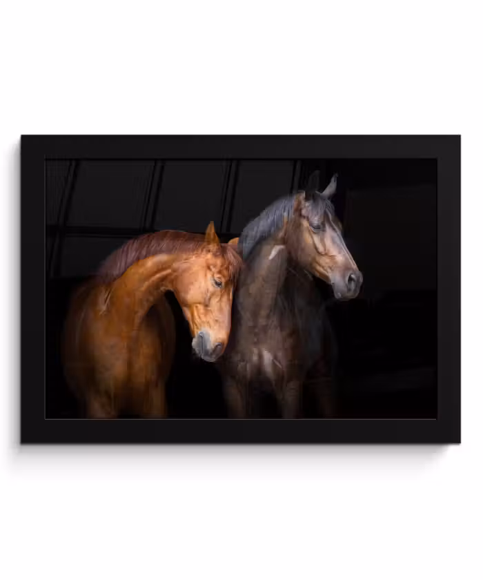 Poster met lijst - Paarden - Dieren - Portret - Bruin