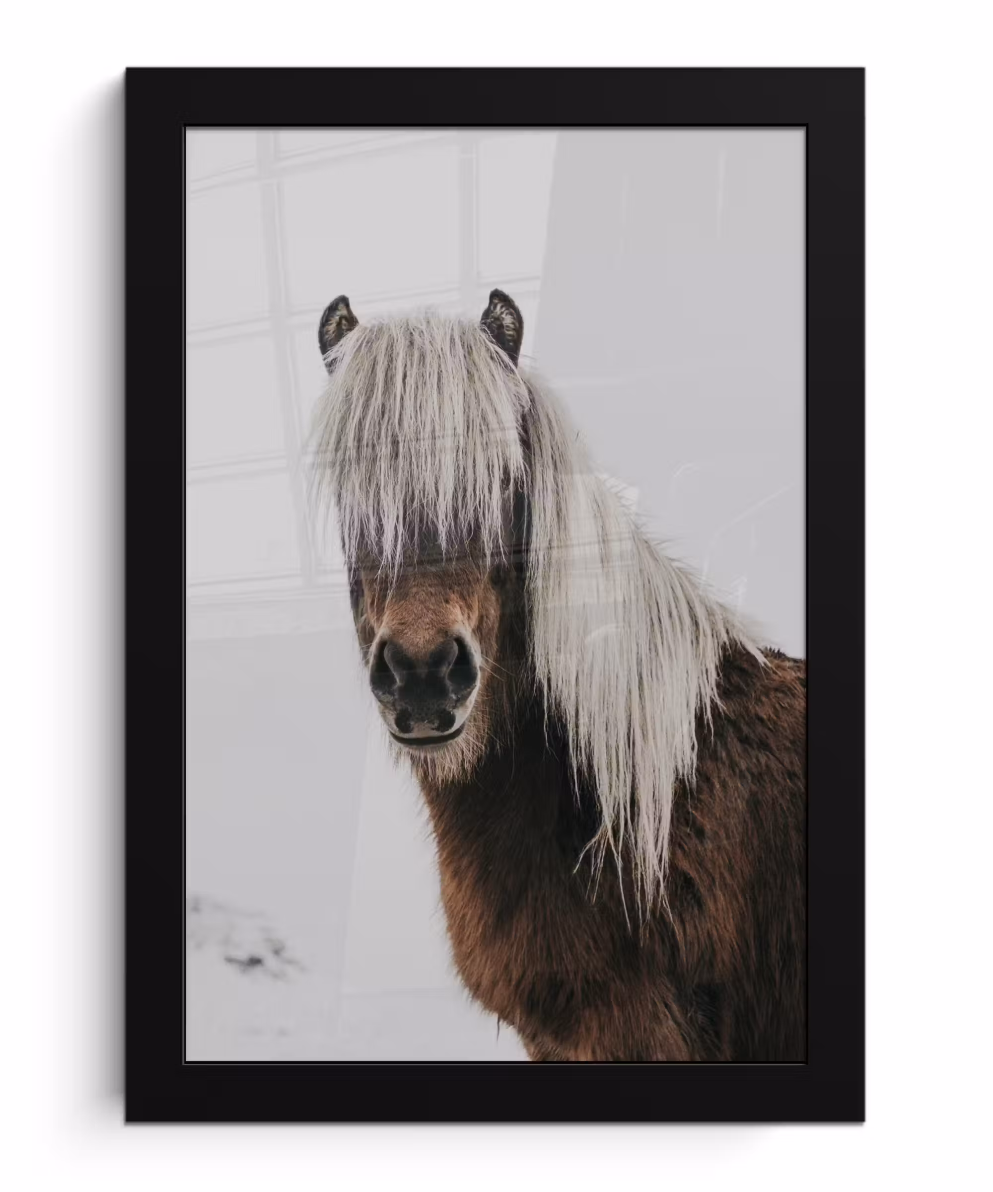 Poster met lijst - Paarden - Dieren - Portret - Bruin - Wit