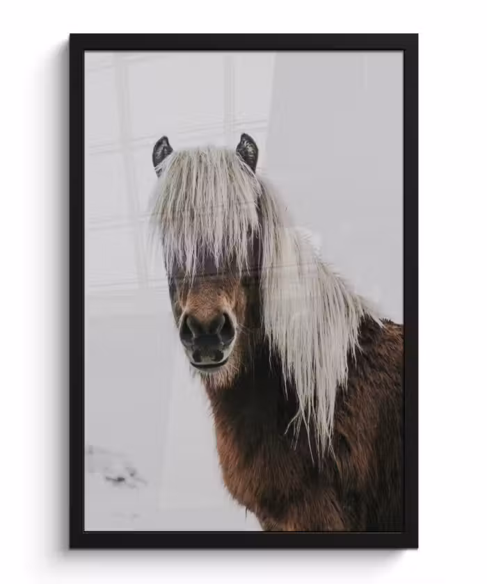 Poster met lijst - Paarden - Dieren - Portret - Bruin - Wit