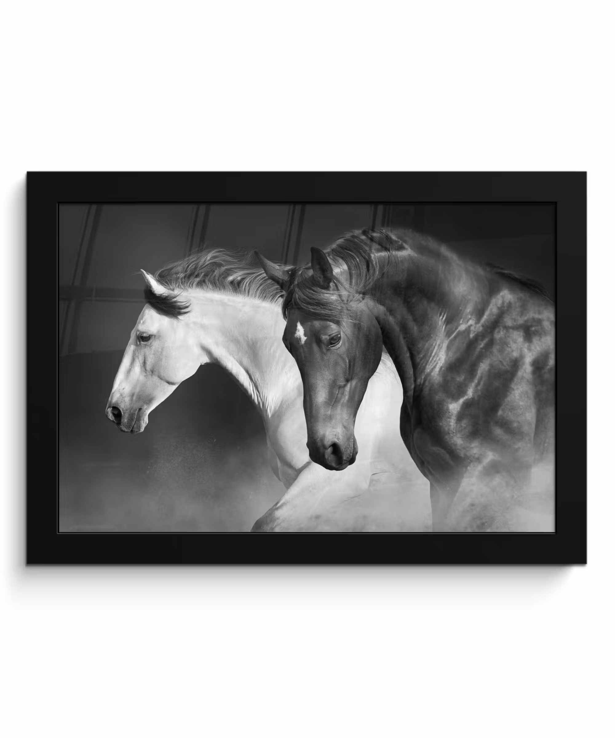 Poster met lijst - Paarden - Dieren - Zwart - Wit - Portret