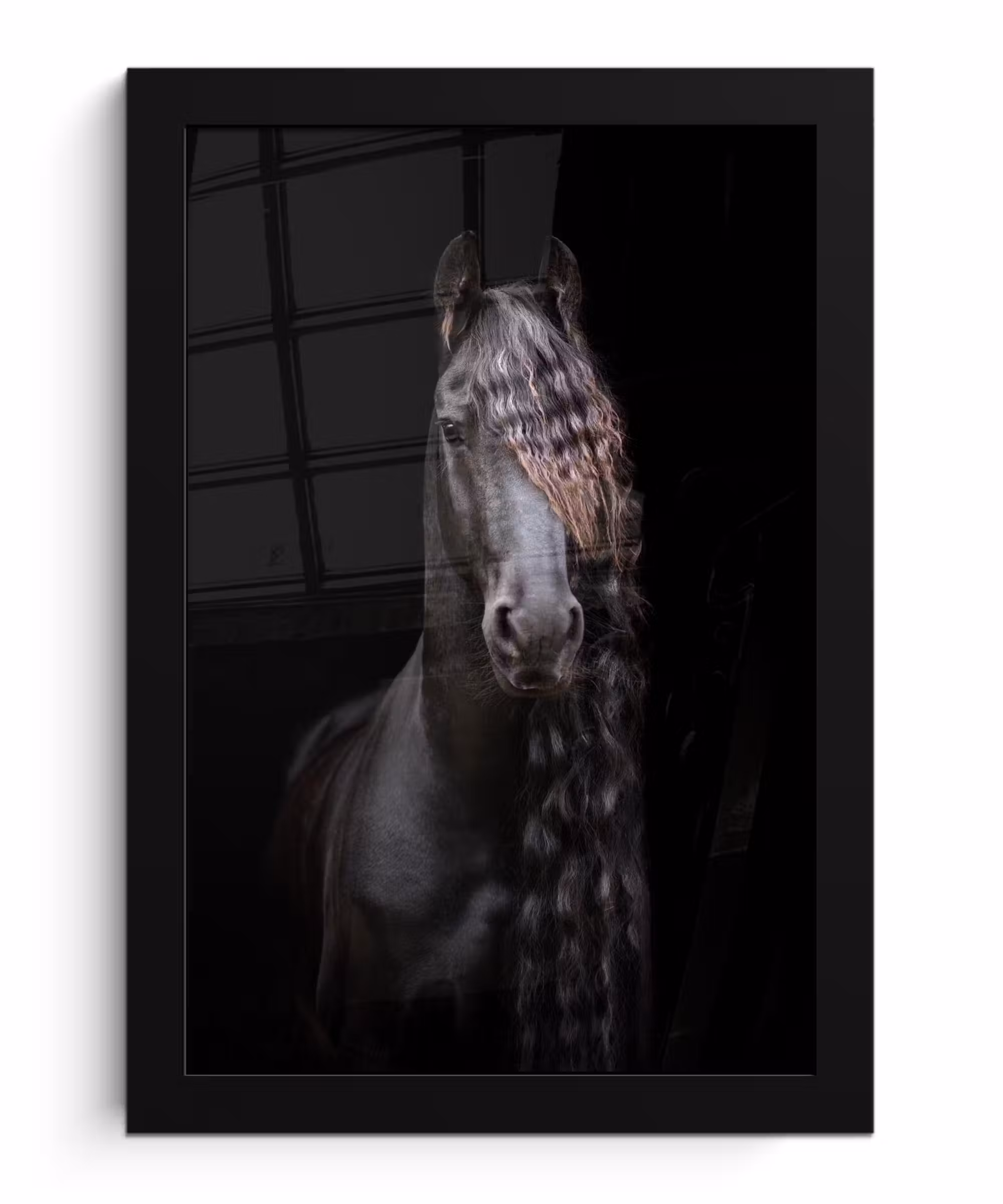 Poster met lijst - Paarden - Fries - Manen - Zwart - Dieren