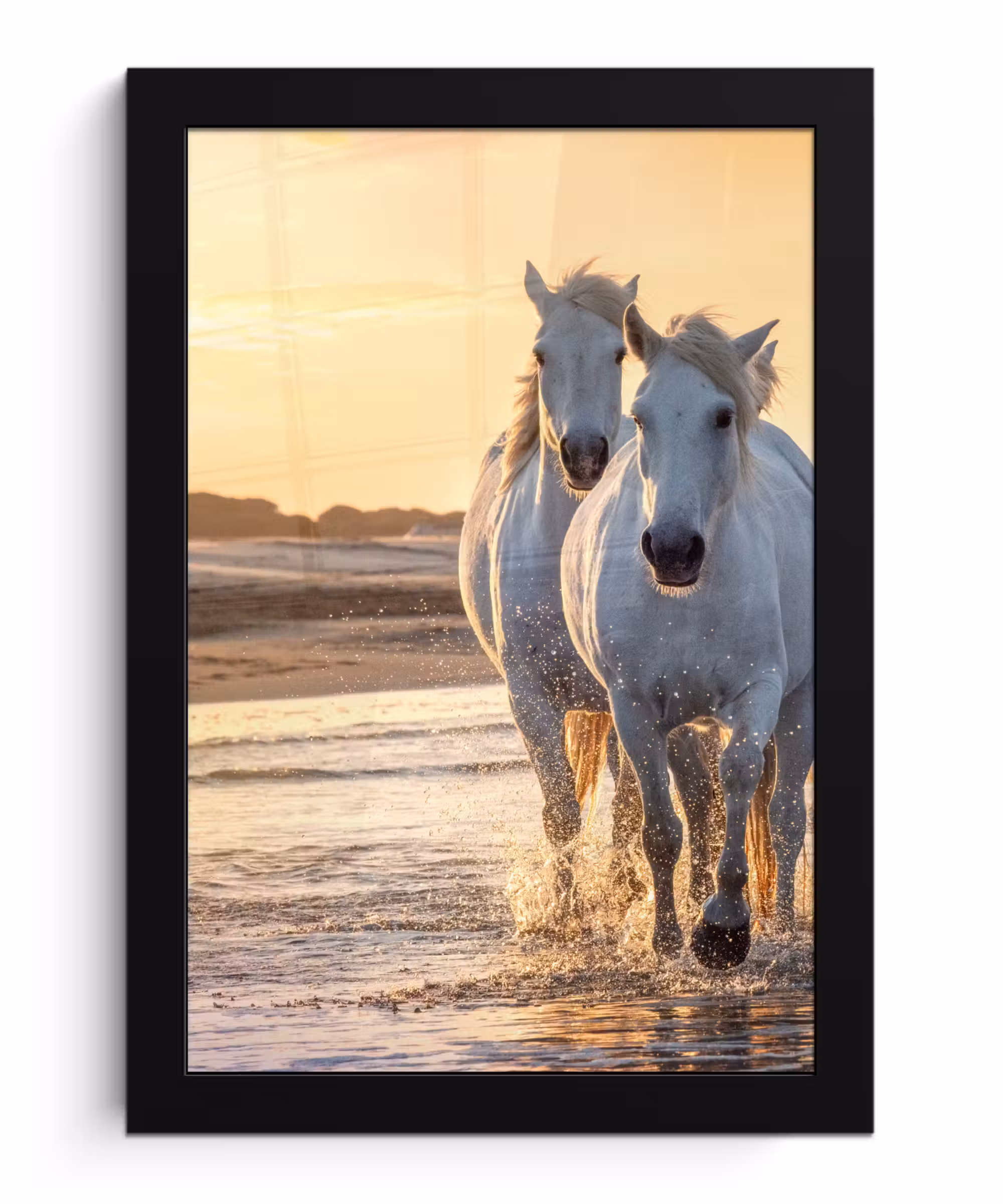 Poster met lijst - Paarden - Water - Strand - Dieren