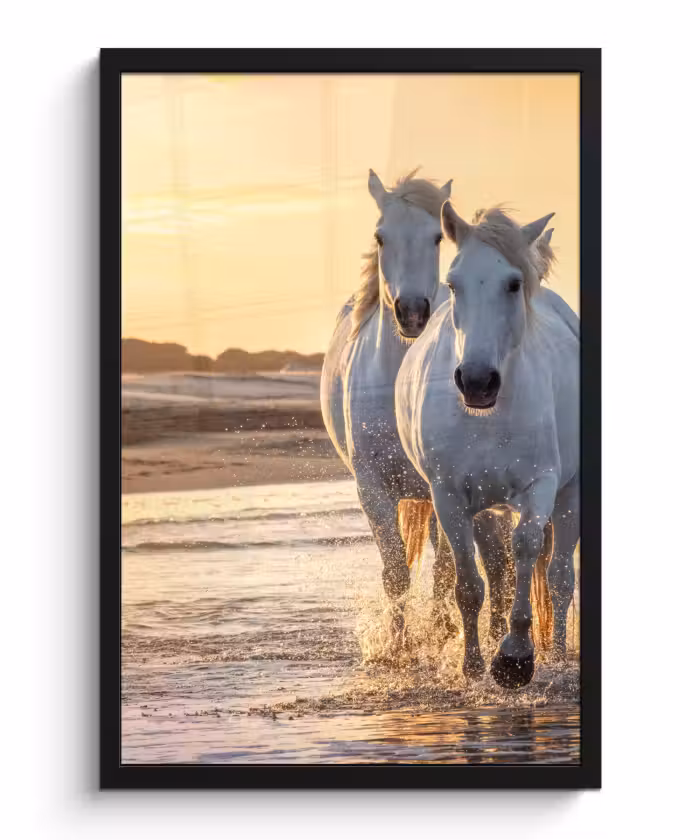 Poster met lijst - Paarden - Water - Strand - Dieren