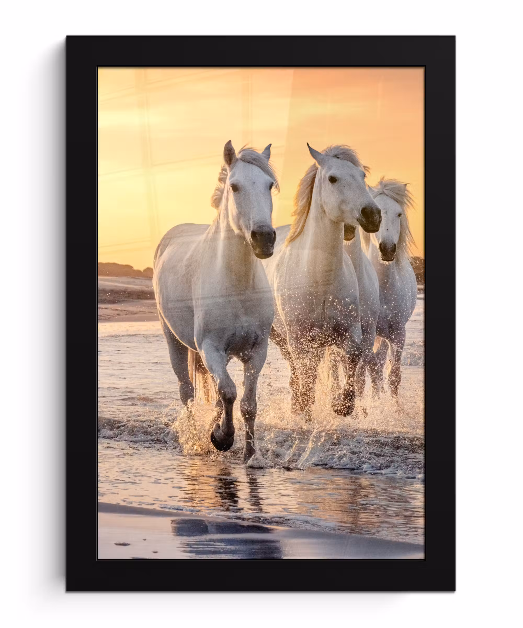 Poster met lijst - Paarden - Zon - Zee - Strand - Dieren