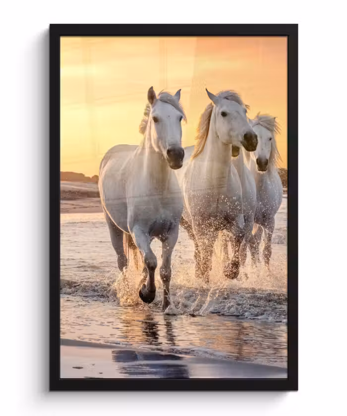 Poster met lijst - Paarden - Zon - Zee - Strand - Dieren