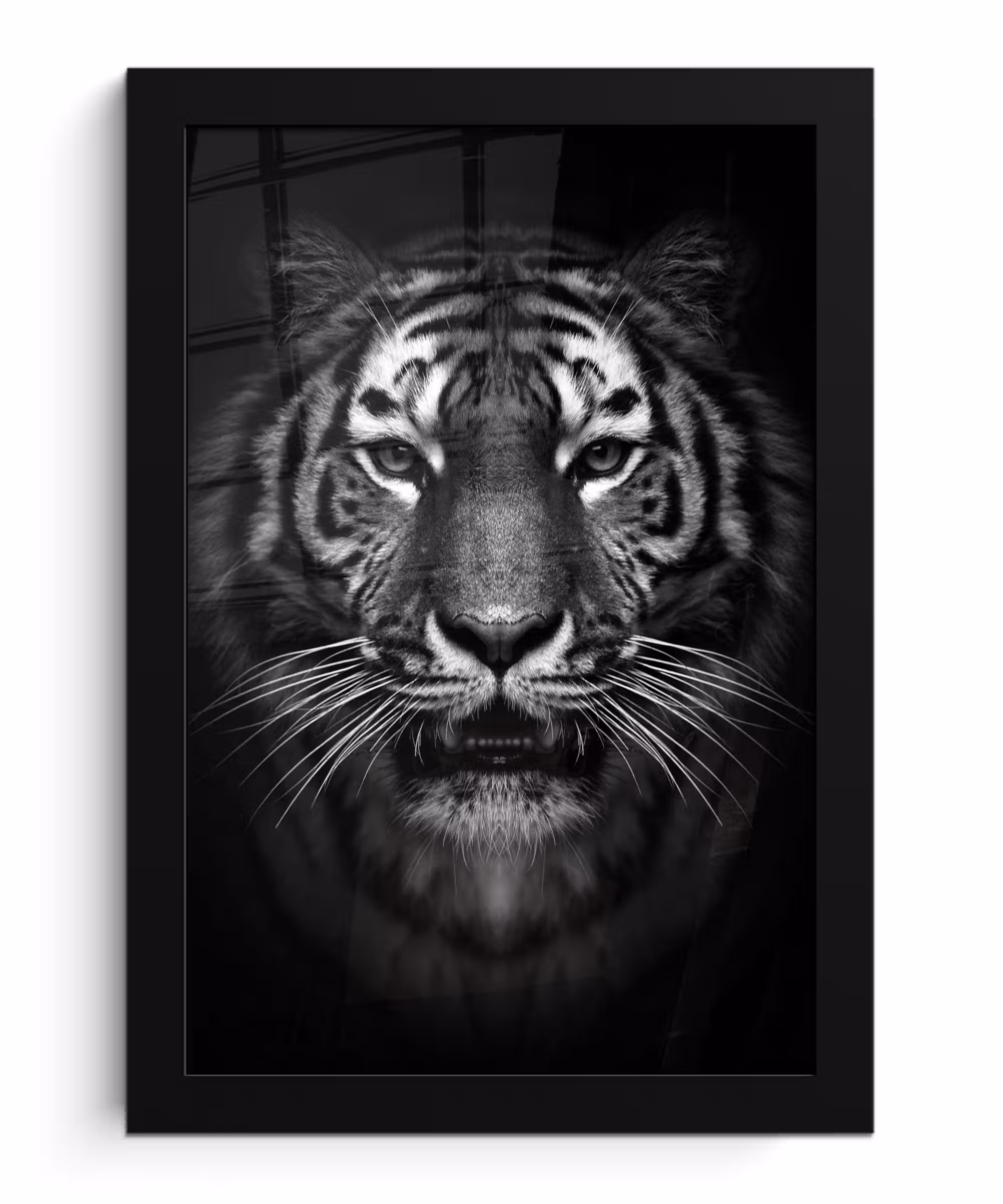 Poster met lijst - Tijger - Dieren - Zwart - Wit - Portret - Wild