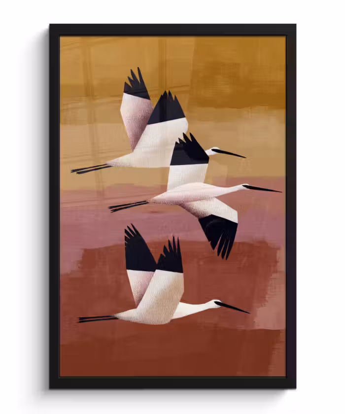 Poster met lijst - Vogels - Snavel - Abstract