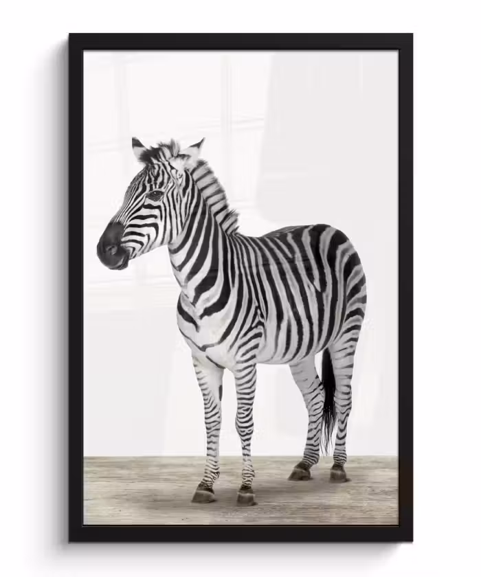 Poster met lijst - Zebra - Meisjes - Dieren - Kinderen - Jongens