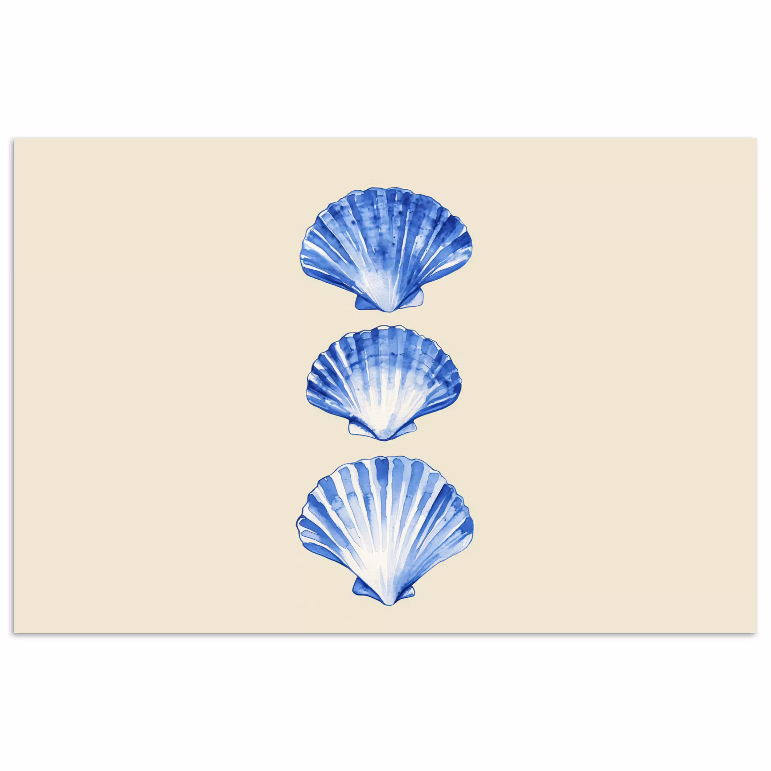 Poster – Schelpen - Blauw - Beige