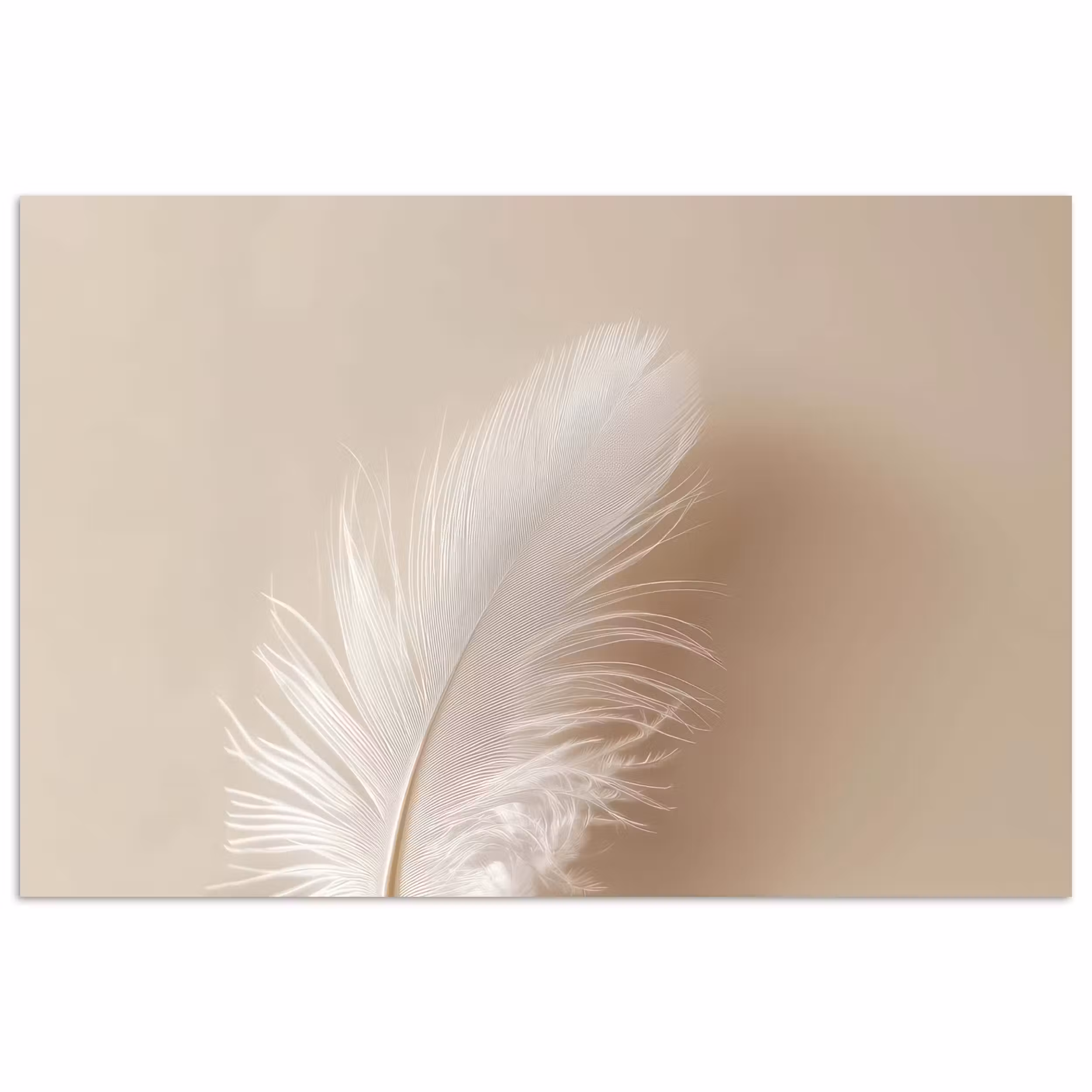 Poster – Veer - Minimalistisch - Roze