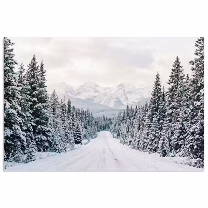 Poster - Weg - Sneeuw - Naaldbos - Winter - Avontuurlijk