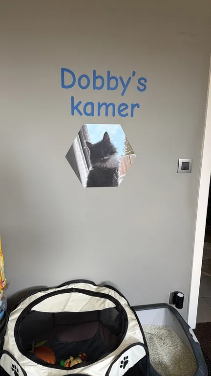 Reviewafbeelding