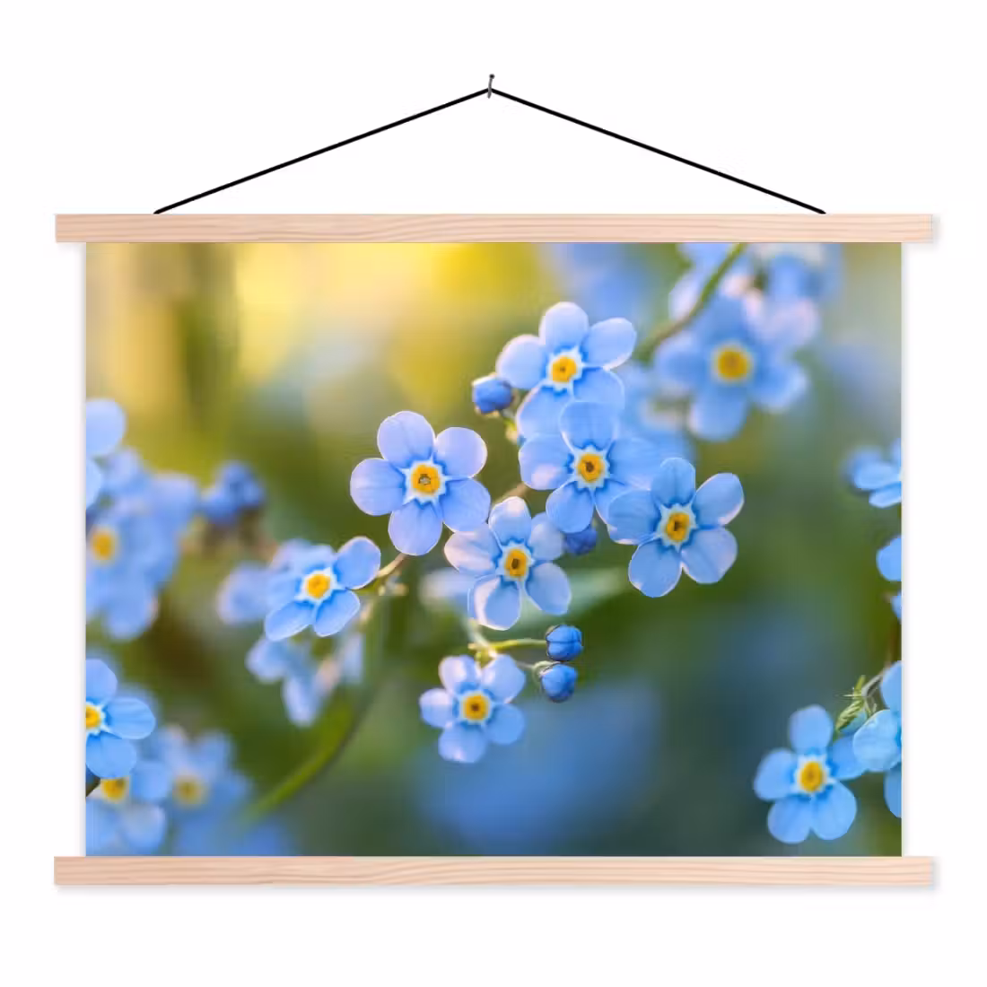Schoolplaat -  Bloemetjes - Blauw - Vergeet mij nietjes