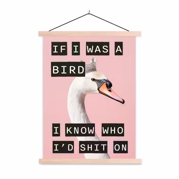 Schoolplaat -  Zwaan - Vogel - Decoratie - Roze