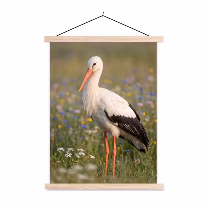 Schoolplaat - Ooienvaar - Bloemen - Weide - Kleurrijk