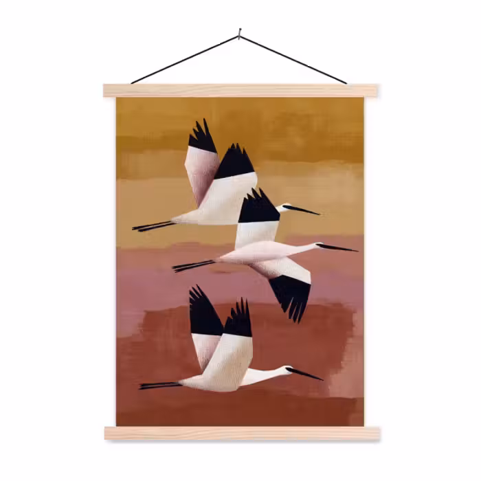 Schoolplaat - Vogels - Snavel - Abstract
