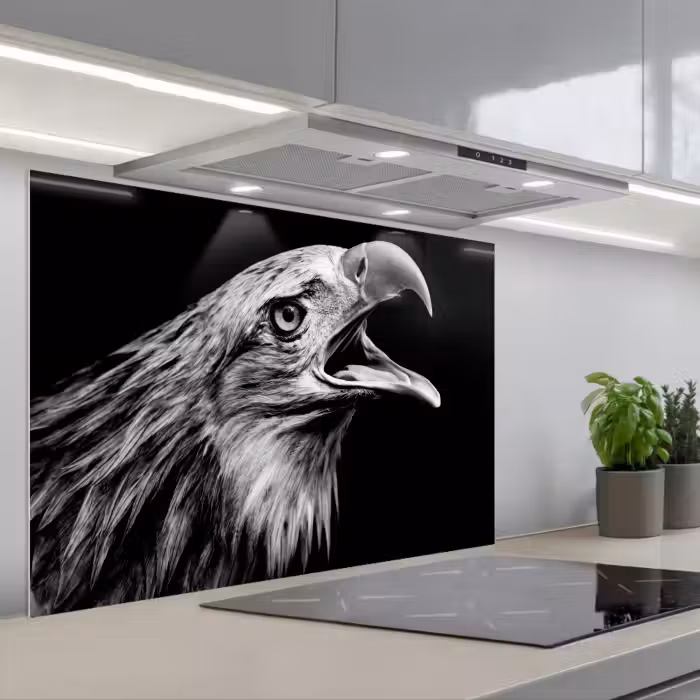 Spatscherm keuken - Adelaar - Portret - Roofvogels - Zwart - Wit - Vogel