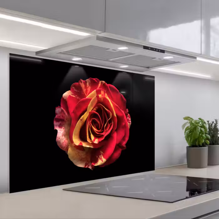 Spatscherm keuken - Bloem - Roos - Rood - Zwart