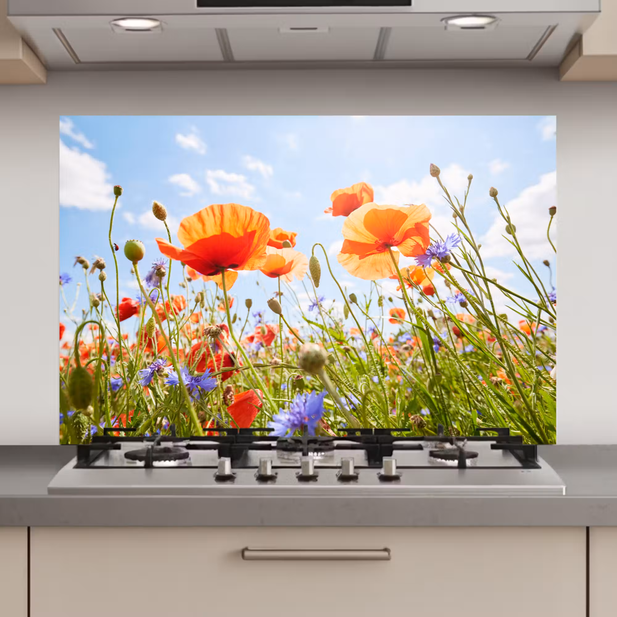 Spatscherm keuken - Bloemen - Klaproos - Lente - Natuur - Rood - Blauw
