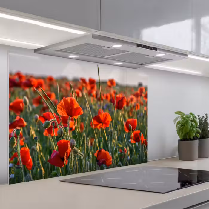 Spatscherm keuken - Bloemen - Klaprozen - Natuur - Rood